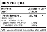 TriBul 250 mg | Εκχύλισμα Tribulus Terrestris - 60 κάψουλες