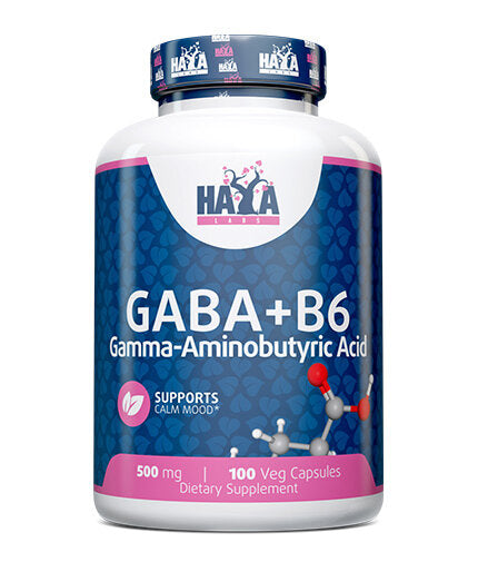 GABA + B-6 / 500mg. / 100 Vcaps