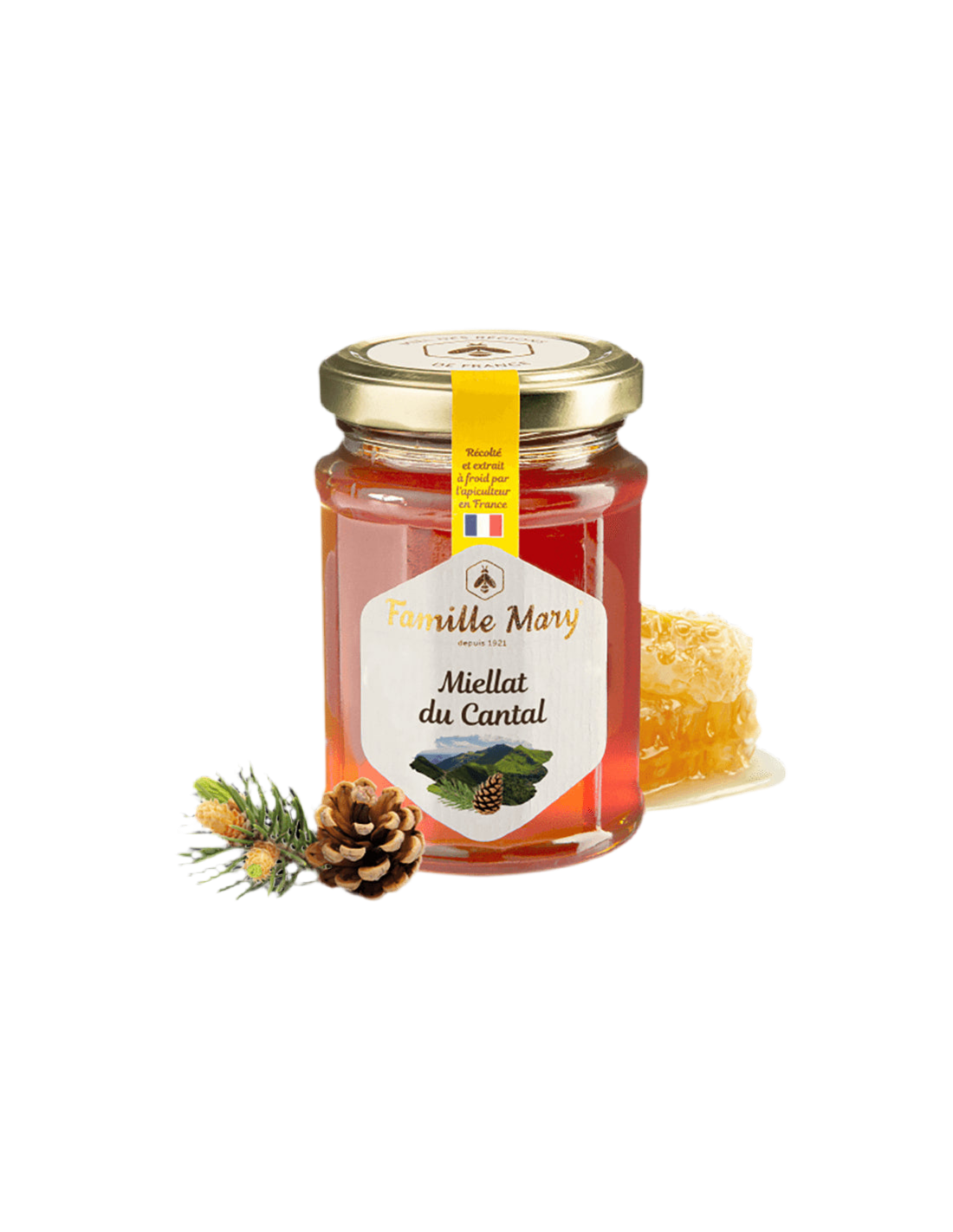 Miellat du Cantal / Μέλι μέλισσας (Honeydew) από πευκοβελόνες, 230 g Famille Mary