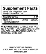 Βιταμίνη B12 500 Methylcobalamin Fast Disolve / 100 Tabs - 0