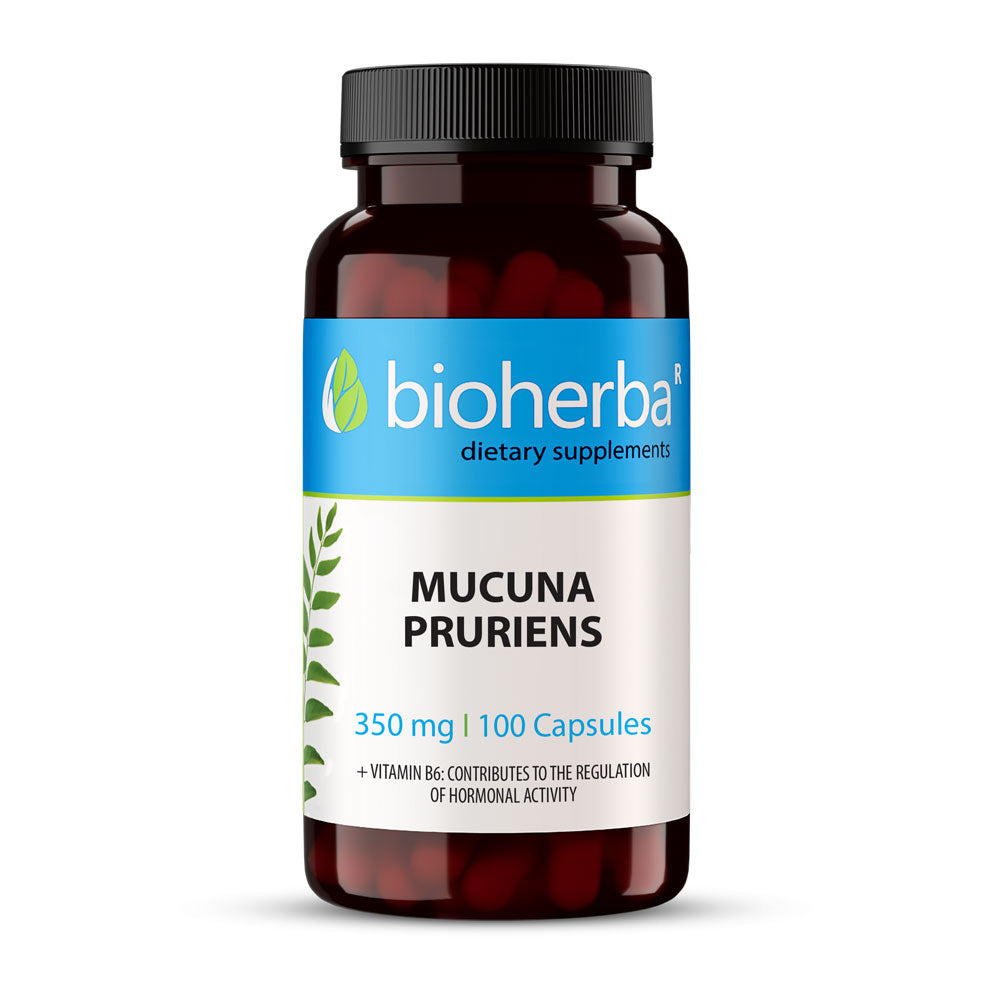 Εκχύλισμα Mucuna Pruriens 350 mg 100 κάψουλες