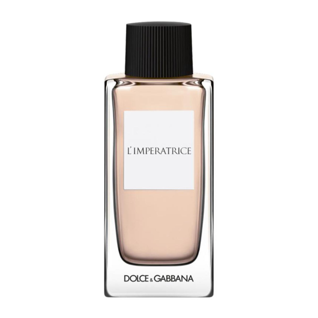 Dolce and Gabbana Dolce and Gabbana Dolce and Gabbana Dolce and Gabbana Dolce and Gabbana Dolce and Gabbana D y g L'imperatrice Pour Femme et 100 Vp