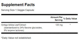 Delayed-Release Standardized Ginkgo 120 mg - 100 капсули