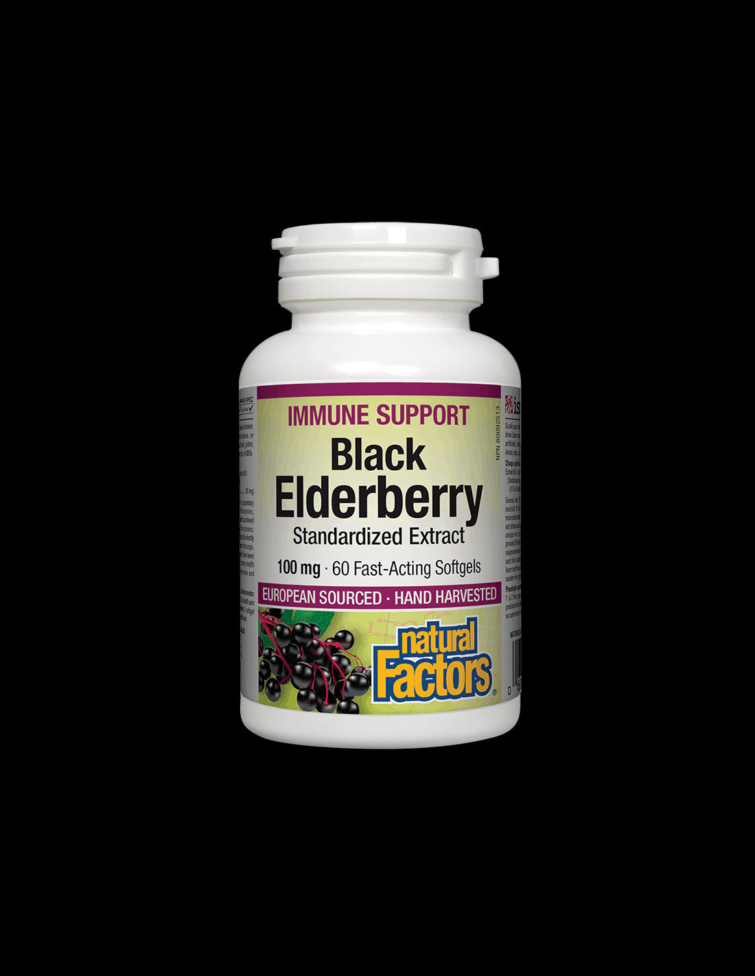 Black Elderberry Standardized Extract 100 mg - 60 κάψουλες Gel