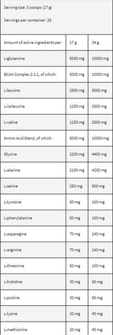 LevroAMINO Surge - 500 грама