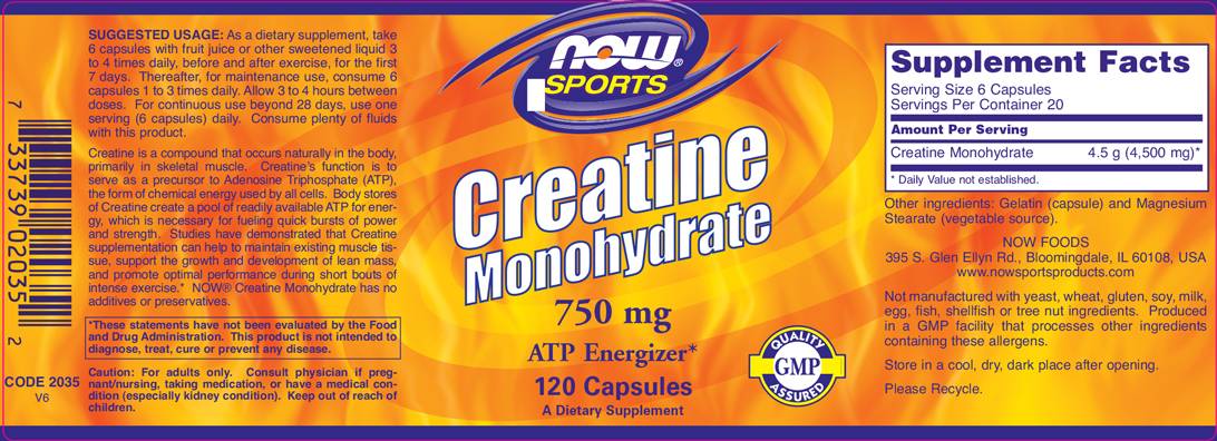 Creatine Mono - 120 κάψουλες