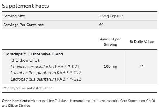 Intestinal Bacteria Support | with 3 Billion Active Cells - 60 капсули